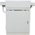 DSLAS-2000激光氨逃逸在线监测系统